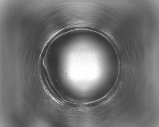 X0000061150933200511181230