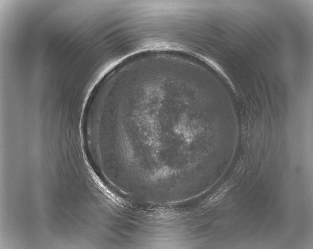 X0000061150935200511181230