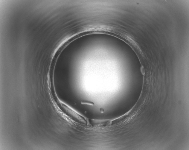 X0000061150936200511181230