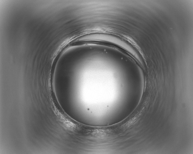 X0000061150938200511181230