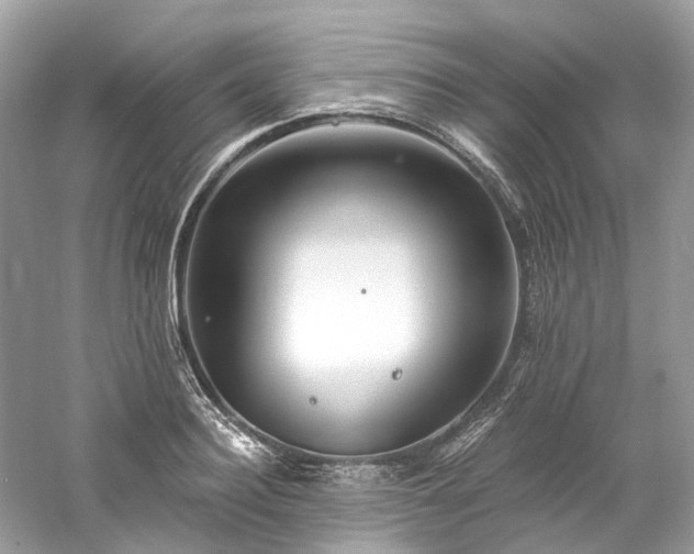 X0000061150940200511181230