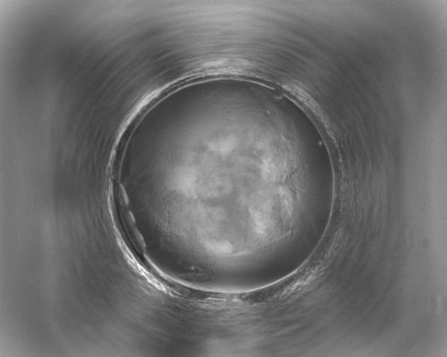 X0000061150941200511181230