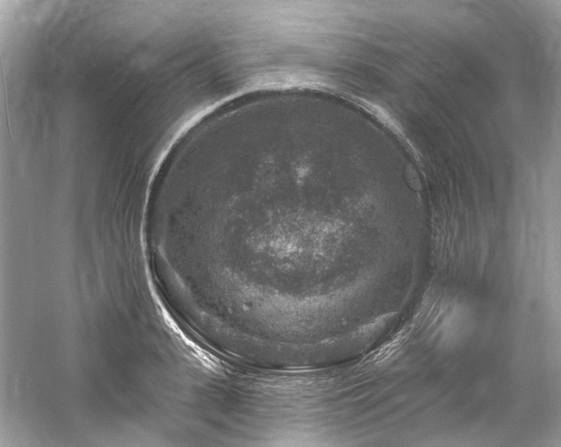 X0000061150943200511181230