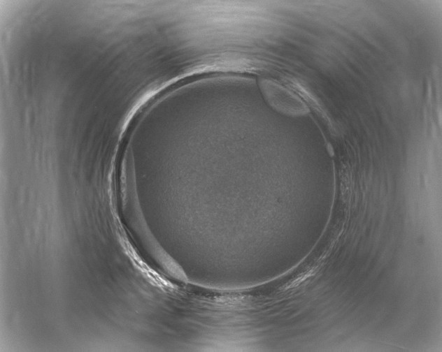 X0000061150944200511181230