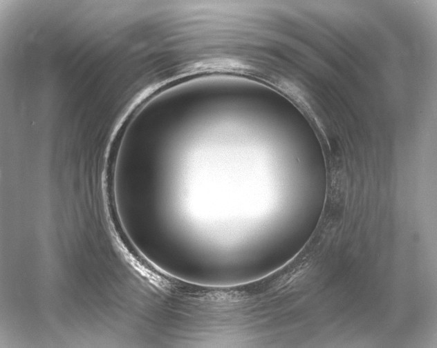 X0000061150947200511181230