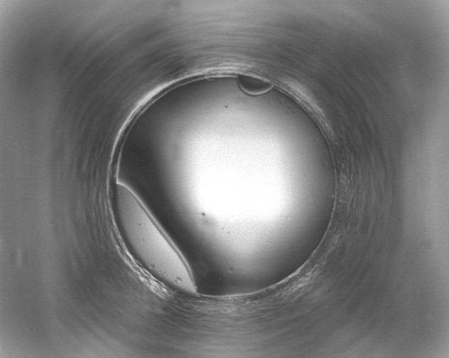 X0000061150948200511181230