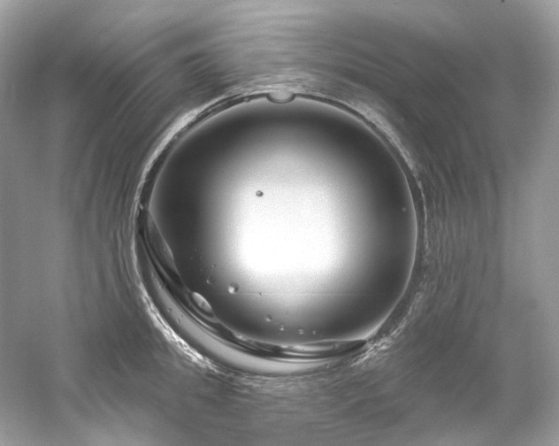 X0000061150949200511181230