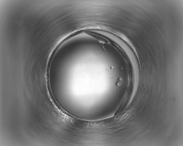 X0000061150951200511181230