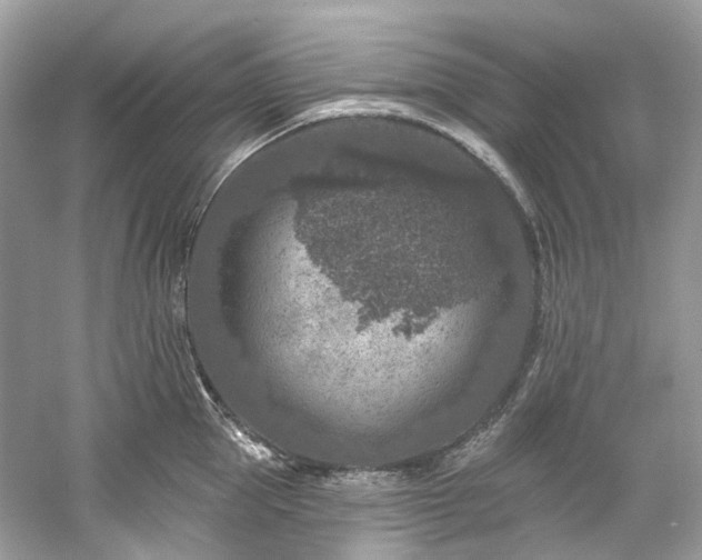 X0000061150953200511181231