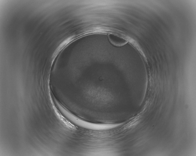 X0000061150954200511181231