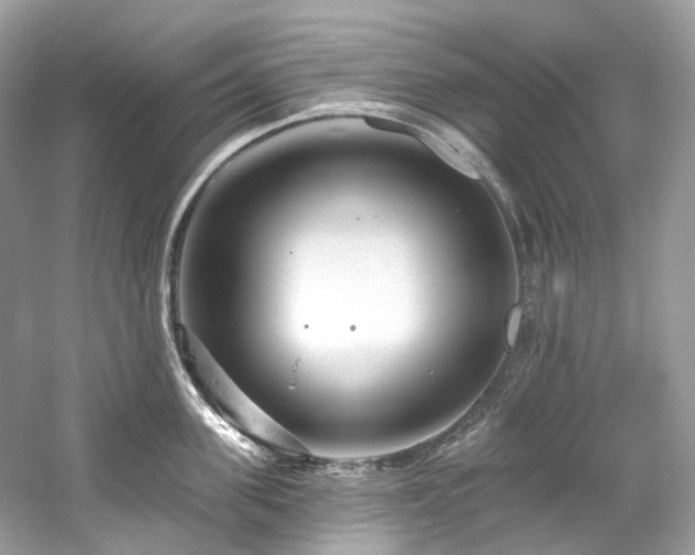 X0000061150955200511181231