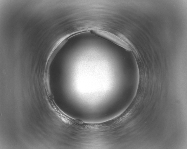 X0000061150956200511181231