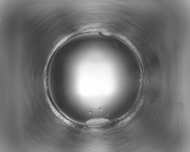 X0000061150957200511181231