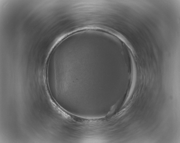 X0000061150958200511181231