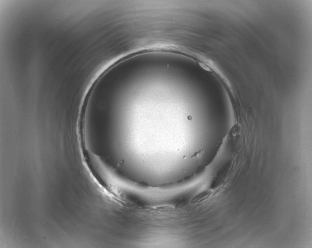 X0000061150959200511181231