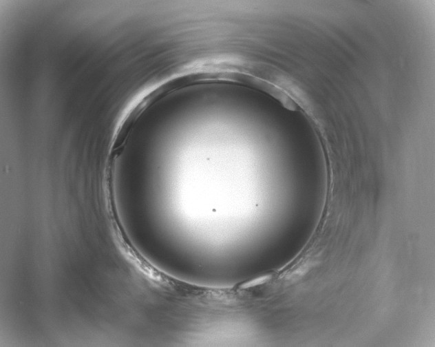 X0000061150960200511181231