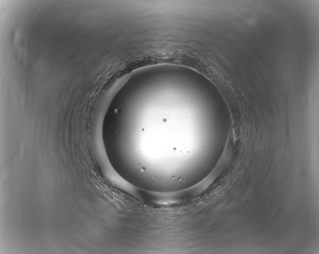 X0000061150961200511181230