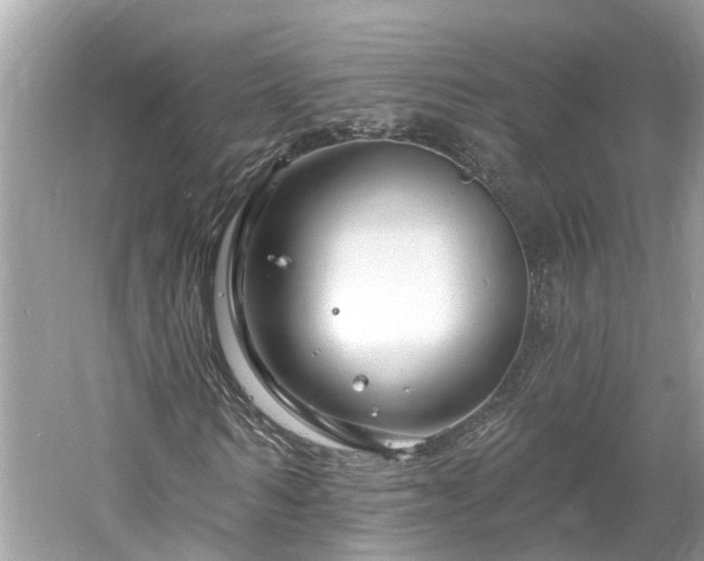 X0000061150962200511181230