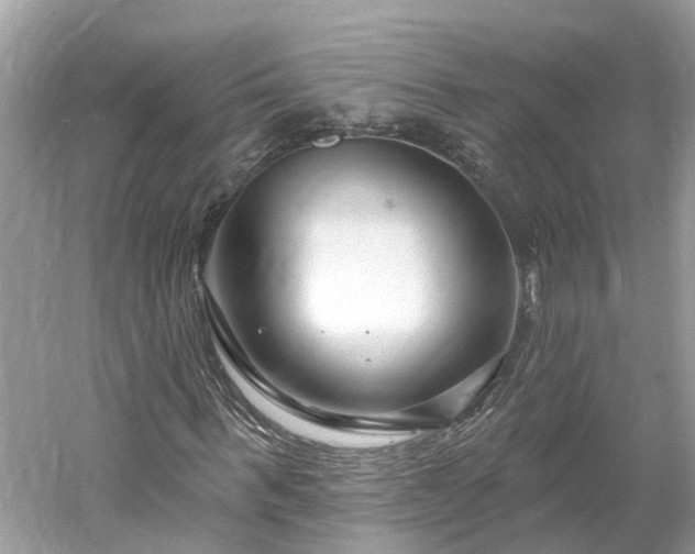 X0000061150963200511181230