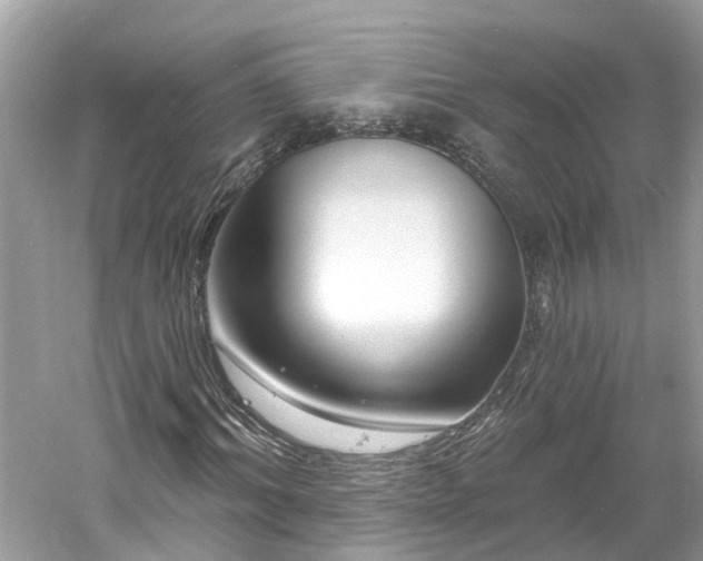 X0000061150964200511181230