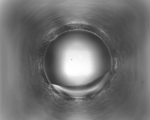 X0000061150965200511181230