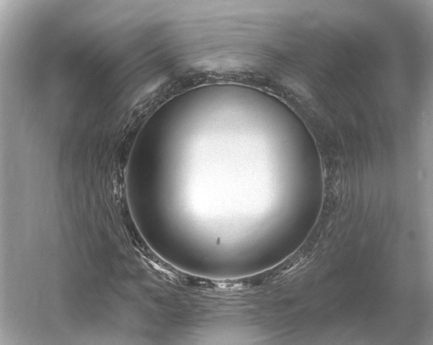 X0000061150966200511181230