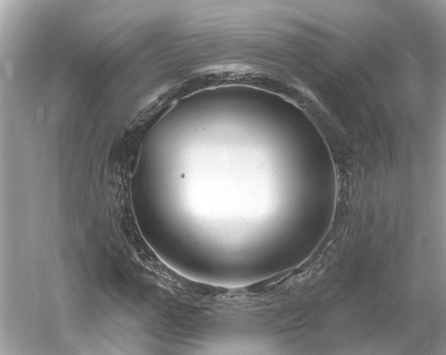 X0000061150967200511181230