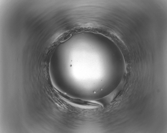 X0000061150968200511181230