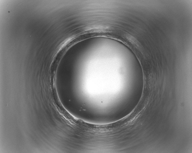 X0000061150970200511181230