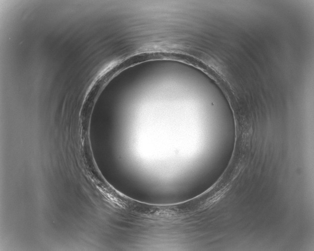 X0000061150974200511181230