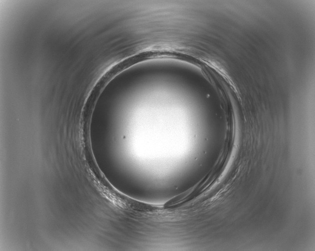 X0000061150976200511181230