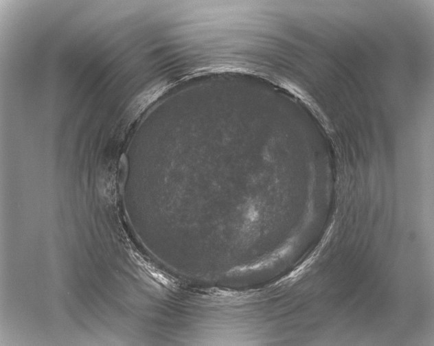 X0000061150977200511181230