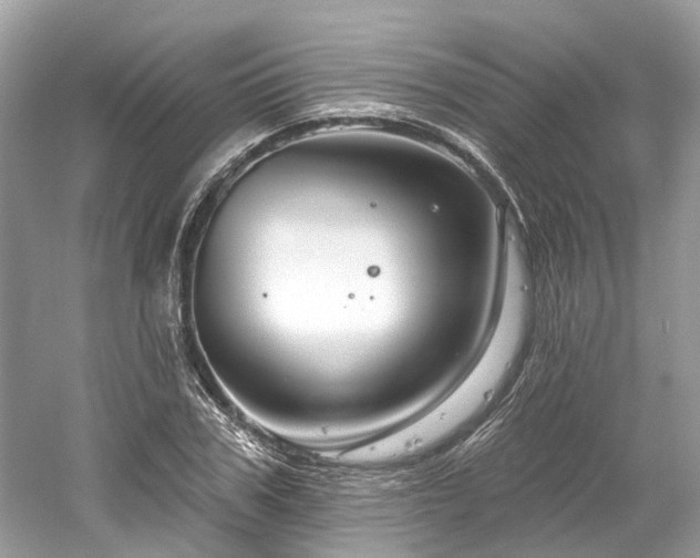 X0000061150979200511181230