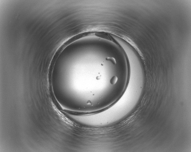 X0000061150980200511181229