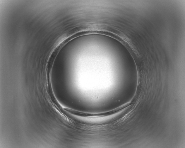 X0000061150982200511181229