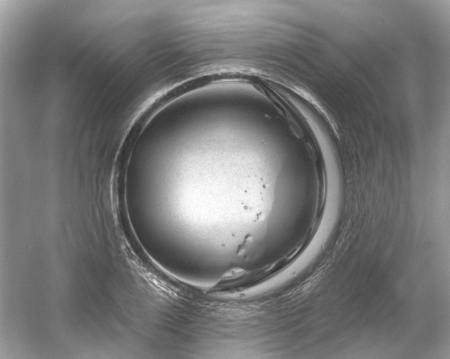 X0000061150983200511181229