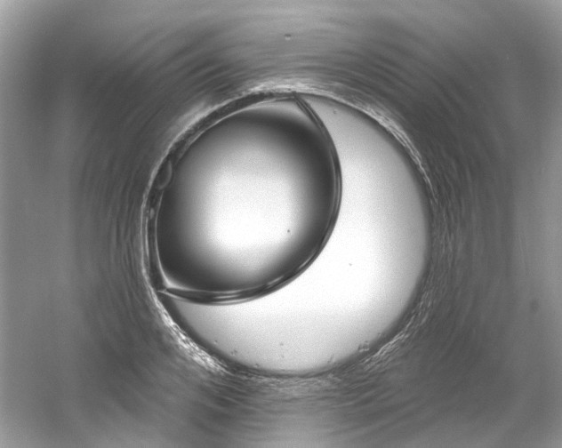 X0000061150984200511181229