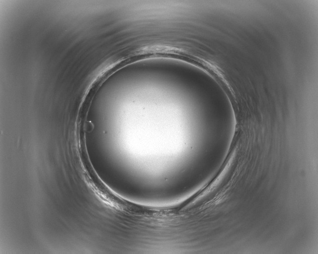 X0000061150987200511181229