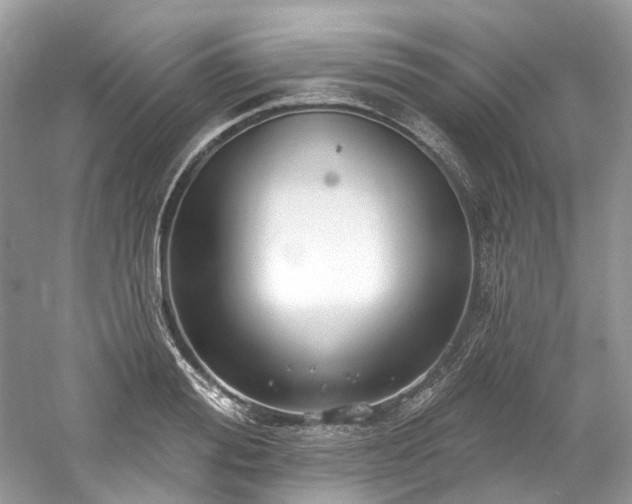 X0000061150988200511181229