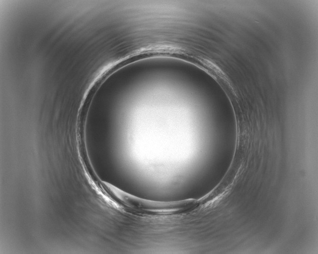 X0000061150989200511181229