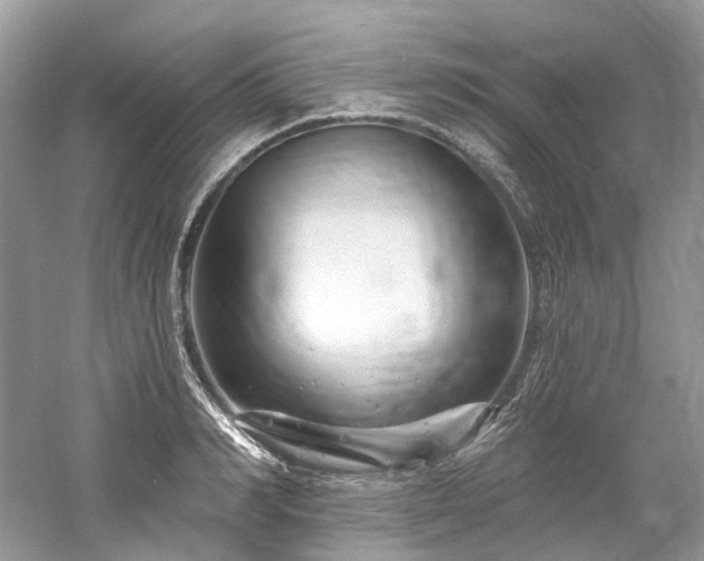 X0000061150990200511181229