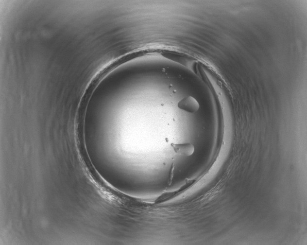 X0000061150991200511181229