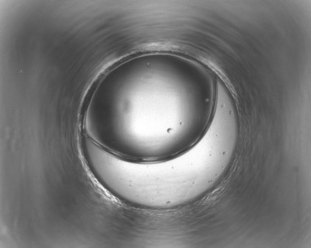 X0000061150992200511181229