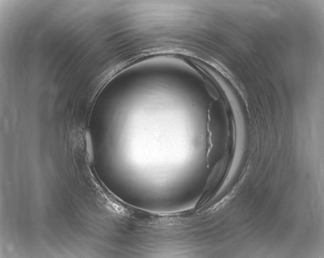 X0000061150993200511181229