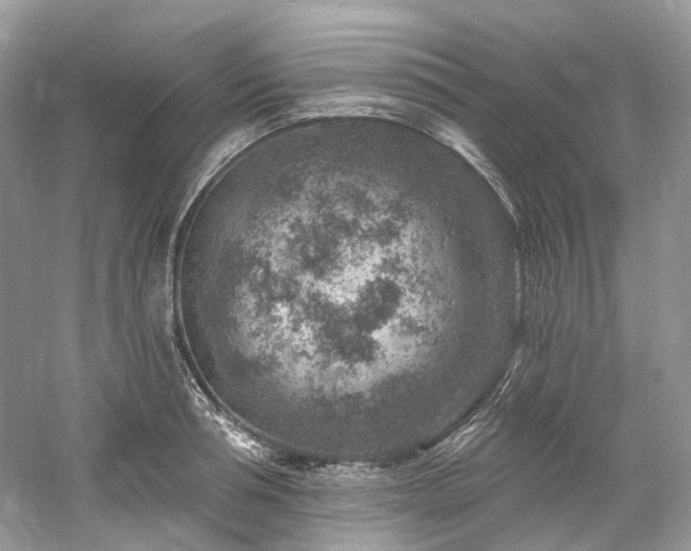 X0000061150994200511181229