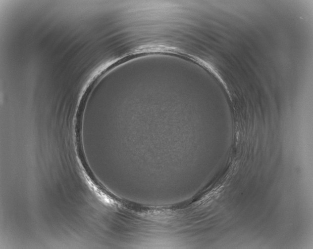 X0000061150995200511181229