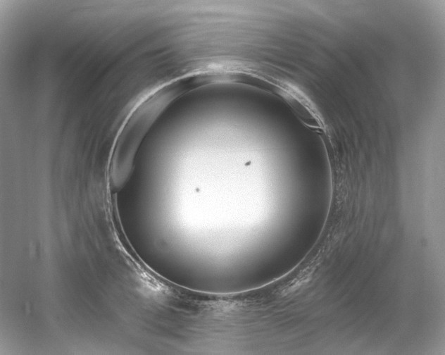 X0000061150996200511181229