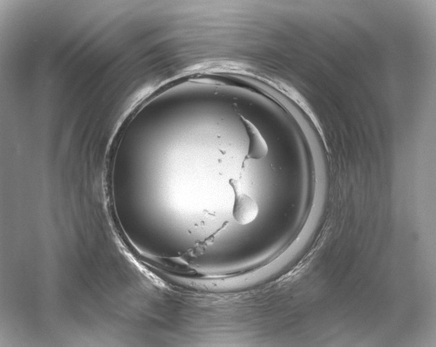 X0000061150997200511181229