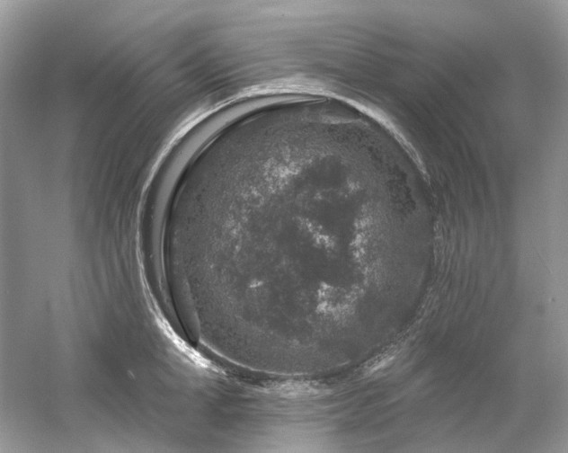 X0000061150998200511181229