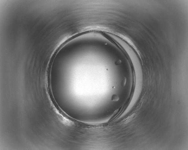 X0000061150999200511181229